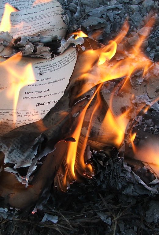 It’s hard to destroy real books effectively.